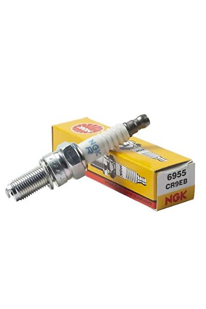 NGK Buji