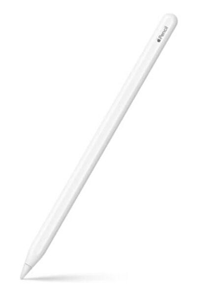 AP Apple Pencil (2nd Generation): iPad Compatibility Check Required - Pixel-P...