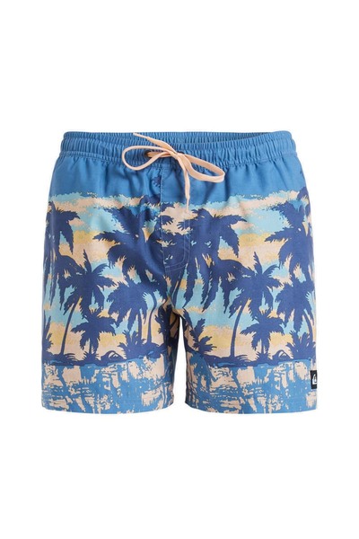 Quiksilver Mens Everyday Straight 15" Swim Shorts M