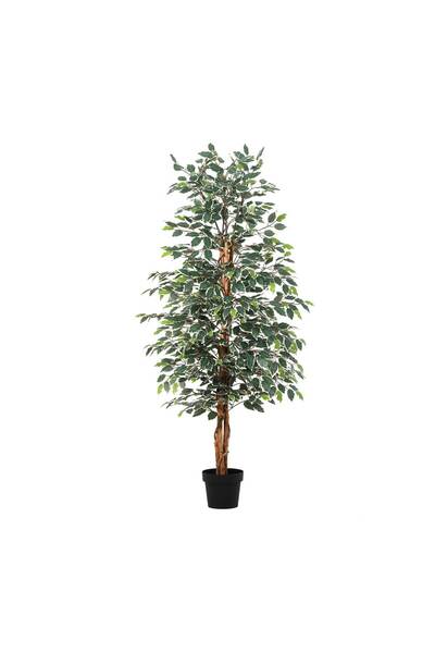 Highpoint High Point Tree with a Calming Aesthetic for Entrances, Rooms, and ...