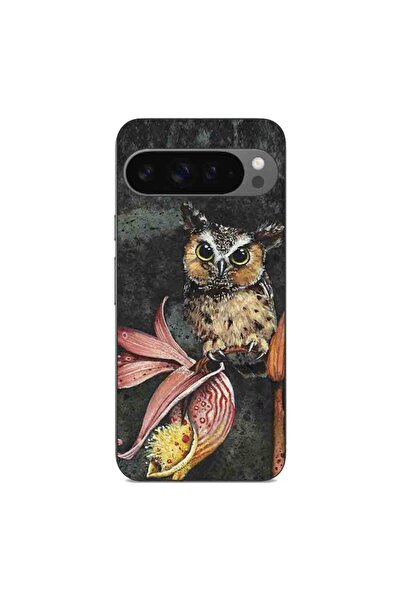 OEM Husa compatibila cu Google Pixel 9 Pro XL Silicon Gel Tpu Model Owl Painted