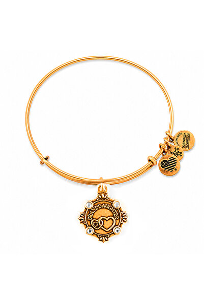 Alex and Ani Bratara Metal A18BILY06RG
