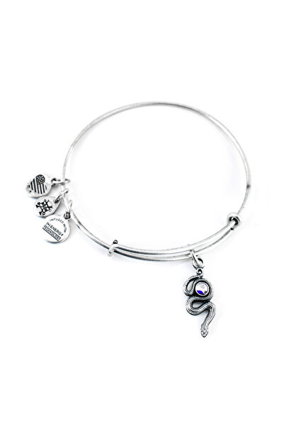 Alex and Ani Bratara Metal A16EB68RS