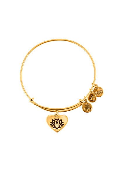Alex and Ani Bratara Metal A15EB01YG