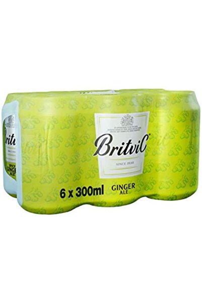 Britvic Premium Dry Ginger Ale Soda Mixer 330ml