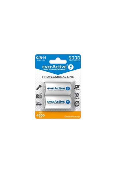 everActive R14 AKU 2BL 5000 professional line