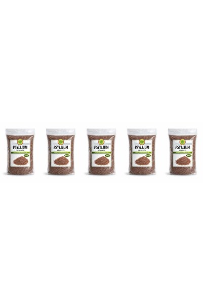 Natural Seeds Product Seminte psyllium 4 x 100g+1 gratis