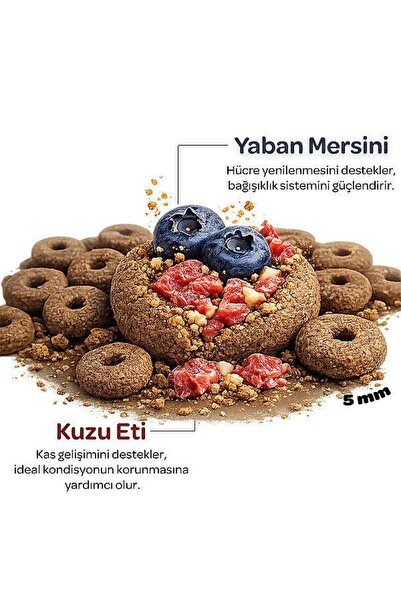 obivan Kuzu Etli ve Yaban Mersinli Yetişkin Kedi Maması 2 Kg