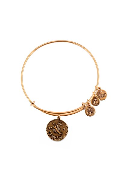 Alex and Ani ΓΥΝΑΙΚΕΙΟ ΒΡΑΧΙΟΛΙ A07EB40SCRG (19-25ΕΚ.)