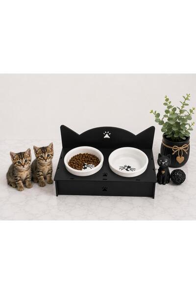 firdevsi hobi Yavru kedi mama ve su kabı