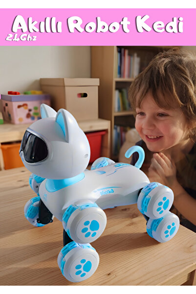Boratila Toys Akıllı Robot Kedi 360 Derece Dönebilen Çok Fonksiyonlu Uzaktan ...