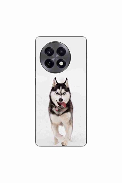 OEM Husa compatibila cu OnePlus 13R Silicon Gel Tpu Model Husky