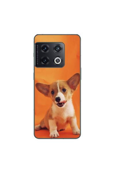 OEM Husa compatibila cu OnePlus 10 Pro Silicon Gel Tpu Model Catelus