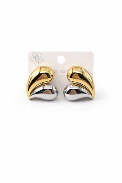 Bozhi Steel Earrings Luminous Style