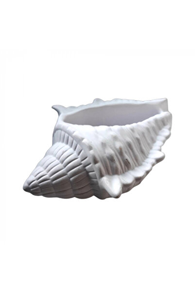 CREATIVITATEPLUS Decoratiune din ipsos Scoica, 17X11cm