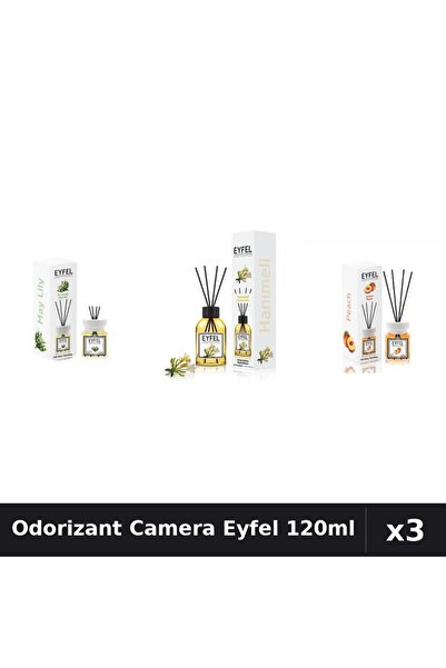 Eyfel Set 3 Odorizant Camera cu Betisoare - Lacramioare, Mâna Maicii Domnului...