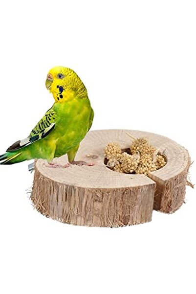 Yıldızan Terra Organic Natural Tree Trunk Feeder for Birds Terra Organic 1025782