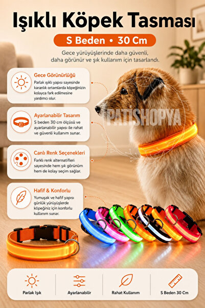 PATİSHOPYA Işıklı Köpek Tasması S Beden 30 Cm LED Ayarlanabilir Köpek Boyun T...