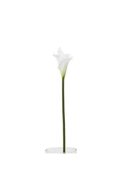 Midas Furniture ARTIFICIAL FLOWER 74CM PLASTIC CREAM