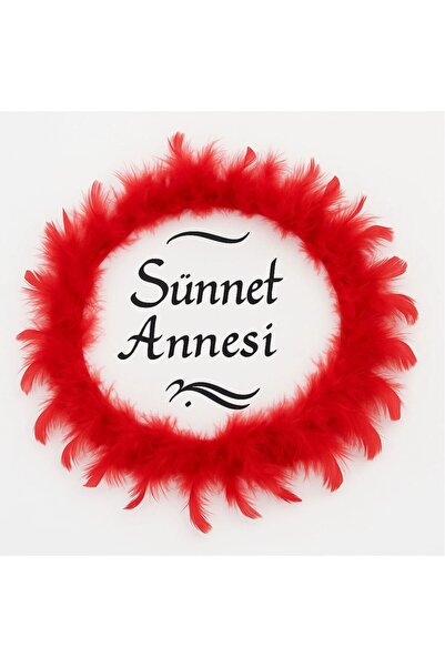 Evsay Tüylerle Süslenmiş Sünnet Tefi Vurmalı Çalgı Def Müzik Aleti Sünnet Ann...