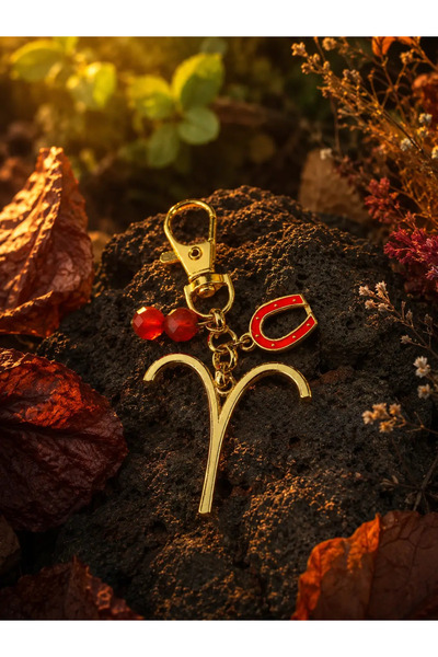 Astrolog Elvan Aries Zodiac Sign Lucky Keychain