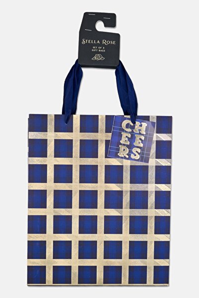 Stella Rose Set of 3 Allover Print Birthday Gift Bags, Multicolor