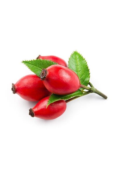 Herbstore.gr Κρέμα Άγριο Τριαντάφυλλο
