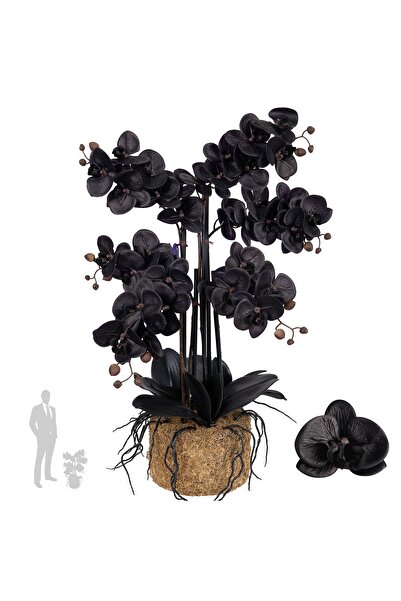 Roberto Rossi Orhidee artificiala neagra cu aspect H66 cm cu 6 tulpini cu fru...