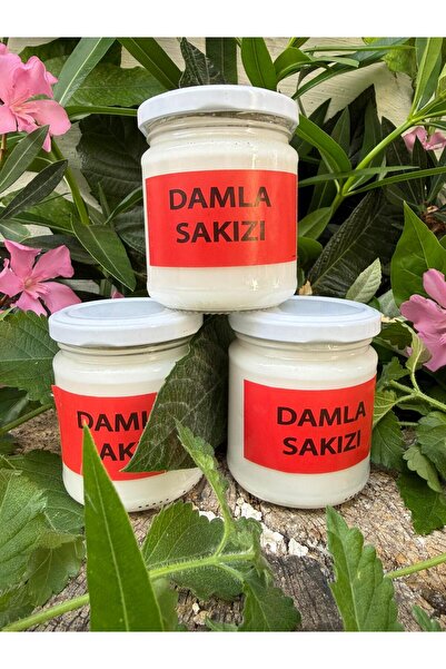 DOĞALINDAN DALINDAN %100 DAMLA SAKIZI 300 Gr.
