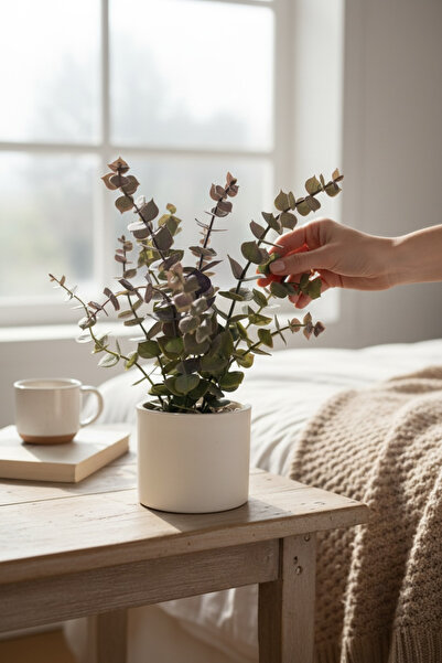 YAPAY ÇİÇEKÇİNİZ Aura Series White Potted Colorful Artificial Eucalyptus Flow...