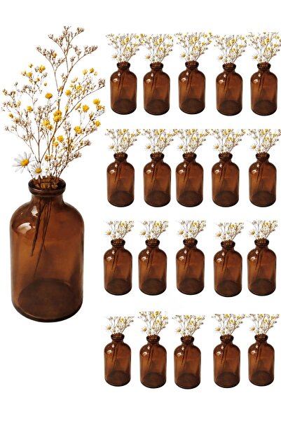 Qualitev 20 Adet 100 ml Amber Cam Mini Vazo Küçük Dekoratif Şişe (Çiçeksiz)