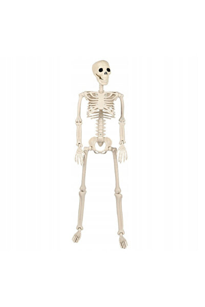 Korbi Cadru Decorativ, Halloween, Interior Si Exterior, 93 Cm, Plastic, Culoa...