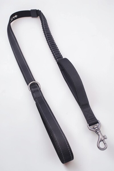 CARAMELOS Shock Absorbing Dog Leash, Anti Shock Spring Dog Leash - Sturdy Wal...