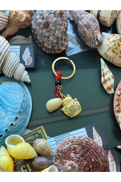 Seashell Rio Feng Shui Fortune Cat Keychain |   Yellow Sea Shell Design |   G...