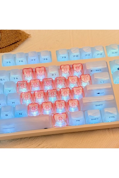 silabor 21 Tuşlu Şeffaf Kırmızı Mekanik Klavye Tuşu Seti | RGB Uyumlu Keycaps...