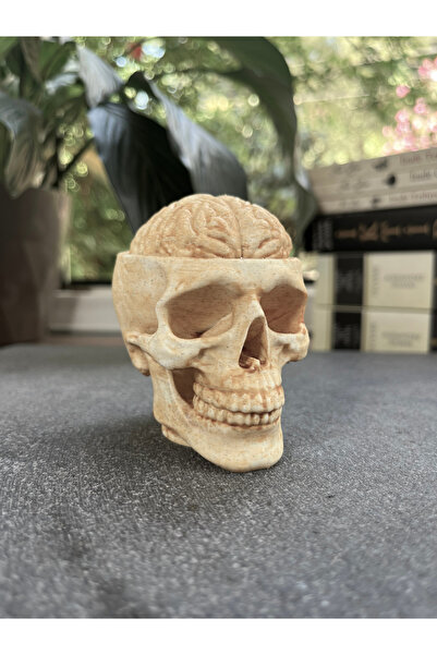 KALIPDIŞI 3D Dekoratif Beyinli Kurukafa Büstü - Anatomik Kafatası Heykeli - 1...