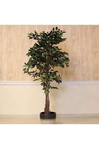 PAN HOME Ficus Tree Green H180cm