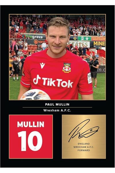 ESSESORIES Paul Mullin Aesthetic Poster Wall Art Room Decor Self Adhesive