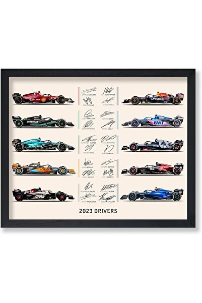 ESSESORIES Poster Master Drivers Poster Cars & Drivers Signatures Print Sport...