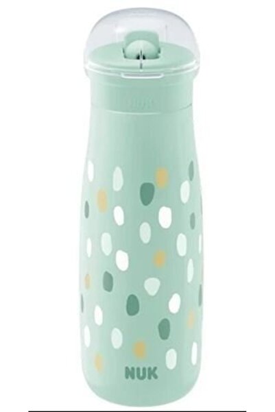 Nuk Μίνι-Μι Φλιπ Μπουκάλι PP 450ml Μέντα Πουά (10225326)