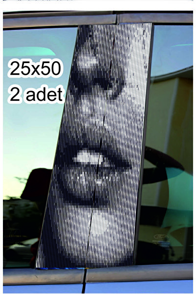 ESLEM Linear Lip Pattern Car Body Covering - 2 Pieces 25X50 cm - Aesthetic Au...