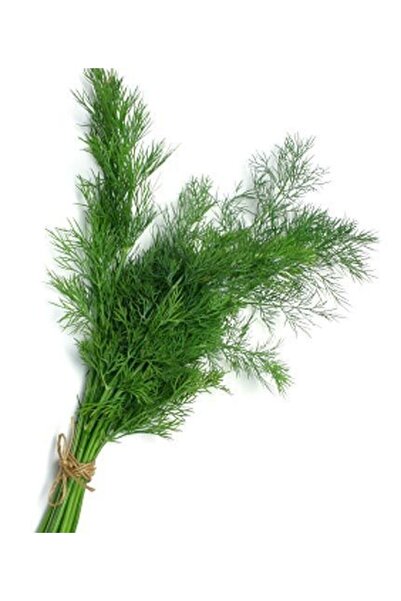 Green Health ΒΟΤΑΝΟ ΑΝΗΘΟΣ 1ΤΕΜ 100gr