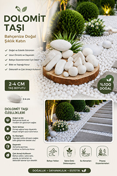 Moemi Beyaz Dolomit Taşı 10 Kg 2-4 CM | Saksı Üstü Dekoratif Çakıl Taşı | Teraryum Bahçe Peyzaj ve Akvaryum Taş