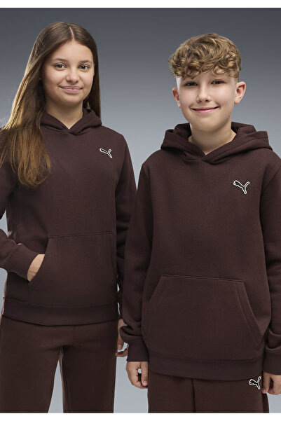 Puma Essentials Elevated Hoodie