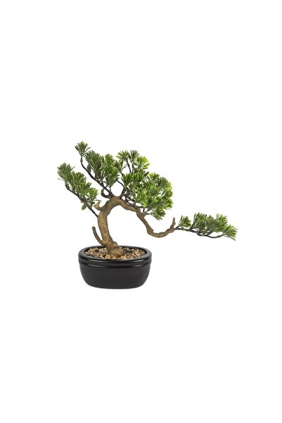 Mikasa Moor شجرة بونساي صناعية من نوع بينوس مقاس 30×28 سم