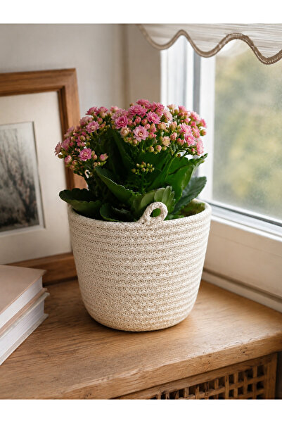 ÖRGÜM Coș decorativ pentru ghiveci 15x15 cm
