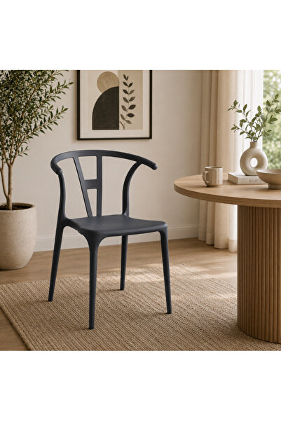 Palma homez Multi-Color Dining Chair Modern Light Luxury Design Style