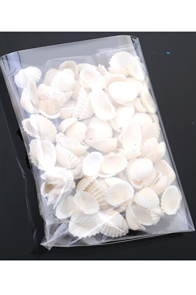 PAMEPAW Gerçek Deniz Kabuğu-karışık Büyük Boy 250 Gr Paket