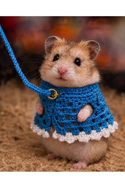 Berliva Home Hamster Örgü Elbise - Gezdirme Tasmall Kemirgen Kiyafeti Mavi