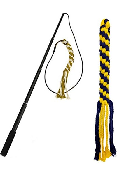 Pawise Hnrlishp Dog Toy 2 Pack Extendable Fishing Rod